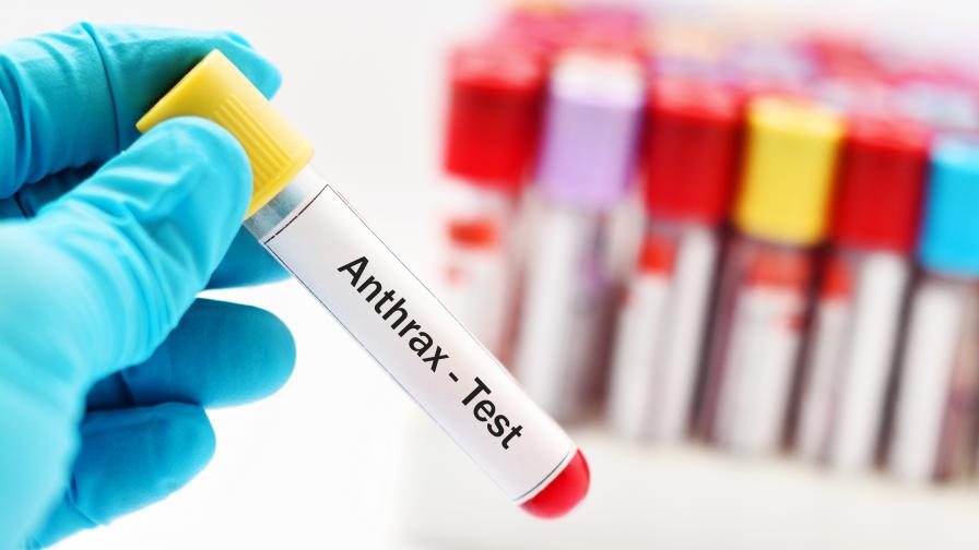  Случай на антракс в Северна Македония 