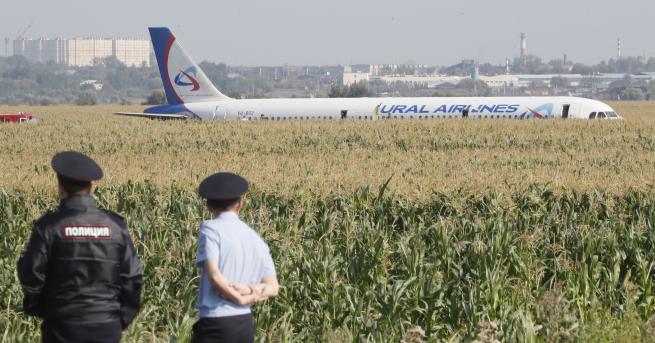 Свят Самолет кацна аварийно в нива с царевица в Русия