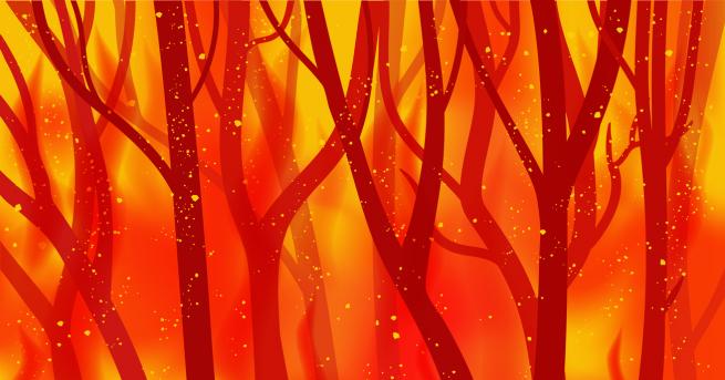 Хаштагът PrayForAmazonia или МолиСеЗаАмазония стана вайръл в социалните мрежи в опит