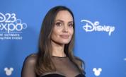  Анджелина Джоли: Последните години не бяха лесни за мен 
