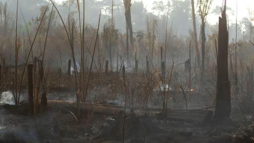  <p>Нови пожари избухнаха в Амазония</p> 