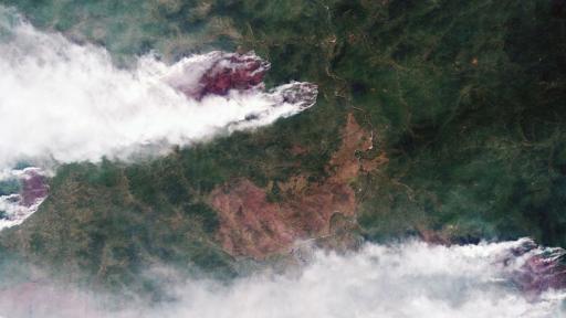  <p>Тези пожари могат да изгорят света</p> 