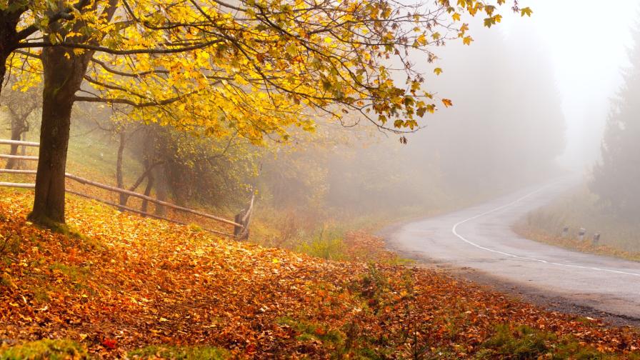 Времето се влошава - дъжд и мъгли в четвъртък