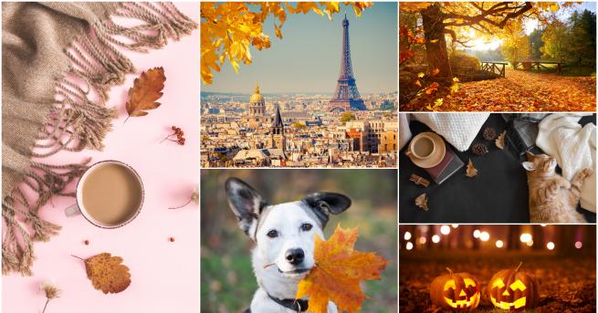 Всички се радваме на красивите снимки които ни посрещат когато