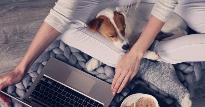 Февруари е месецът на любовта и едва ли има по приятни