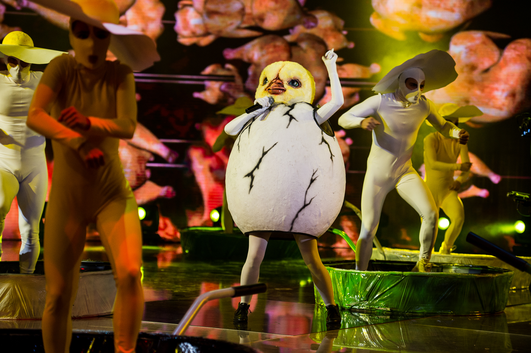 <p>Пилето изпълнява Gangnam Style на PSY&nbsp;</p>