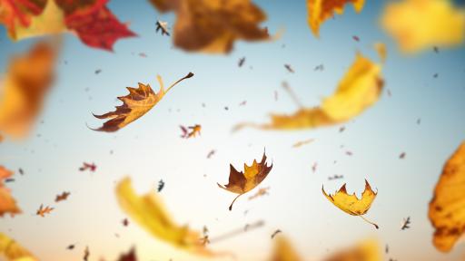  Облачна неделя, чака ли ни стопляне 