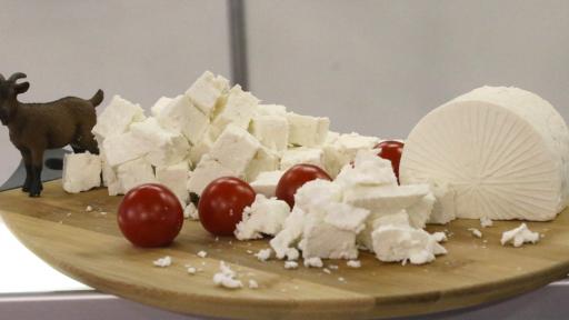  Снимката е илюстративна 