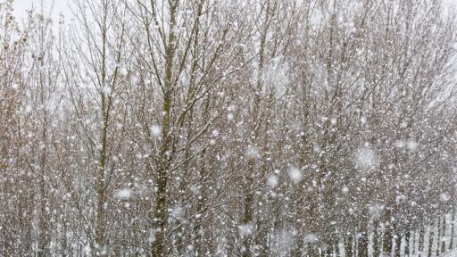  Жертви на неприятното време в Съединени американски щати, петима починали във Франция 