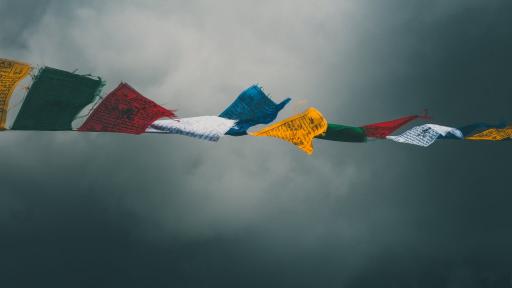  Снимка: pexels 