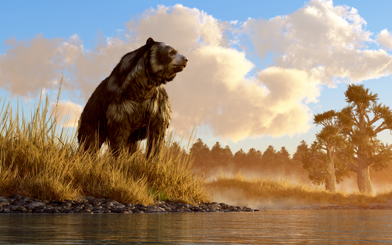 <p><strong>Късомуцунеста мечка</strong></p>

<p>Късомуцунестата мечка е изчезнал вид, съществувал преди около 11&nbsp;000 години на територията на Северна Америка. Средно представителите на този вид са тежали около 900 кг. Изправена на две лапи мечката е достигала височина от 2.4-3 метра.</p>