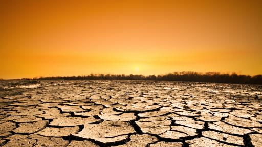  Организация на обединените нации: Ако не се променим, ни чака опустошаване 