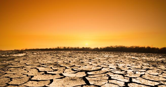 Свят ООН Ако не се променим ни чака опустошение По