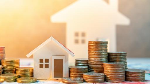 <p>Не дръжте тези неща у дома &ndash; привличат бедност</p>