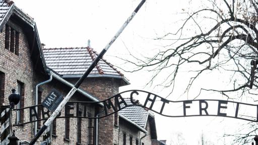  <p>Любовниците от Аушвиц: историята, която трогна света</p> 