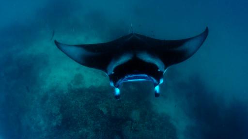  На кои острови почиват богатите и известните 