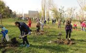  Добра вест – избавиха 10 500 дървета от изсичане 