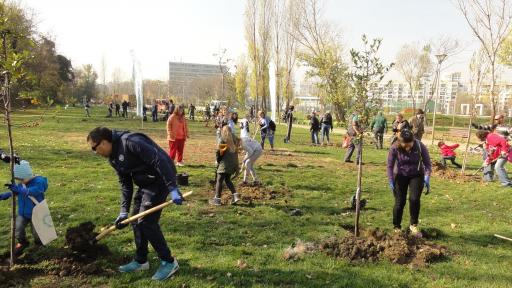  Добра вест – избавиха 10 500 дървета от изсичане 