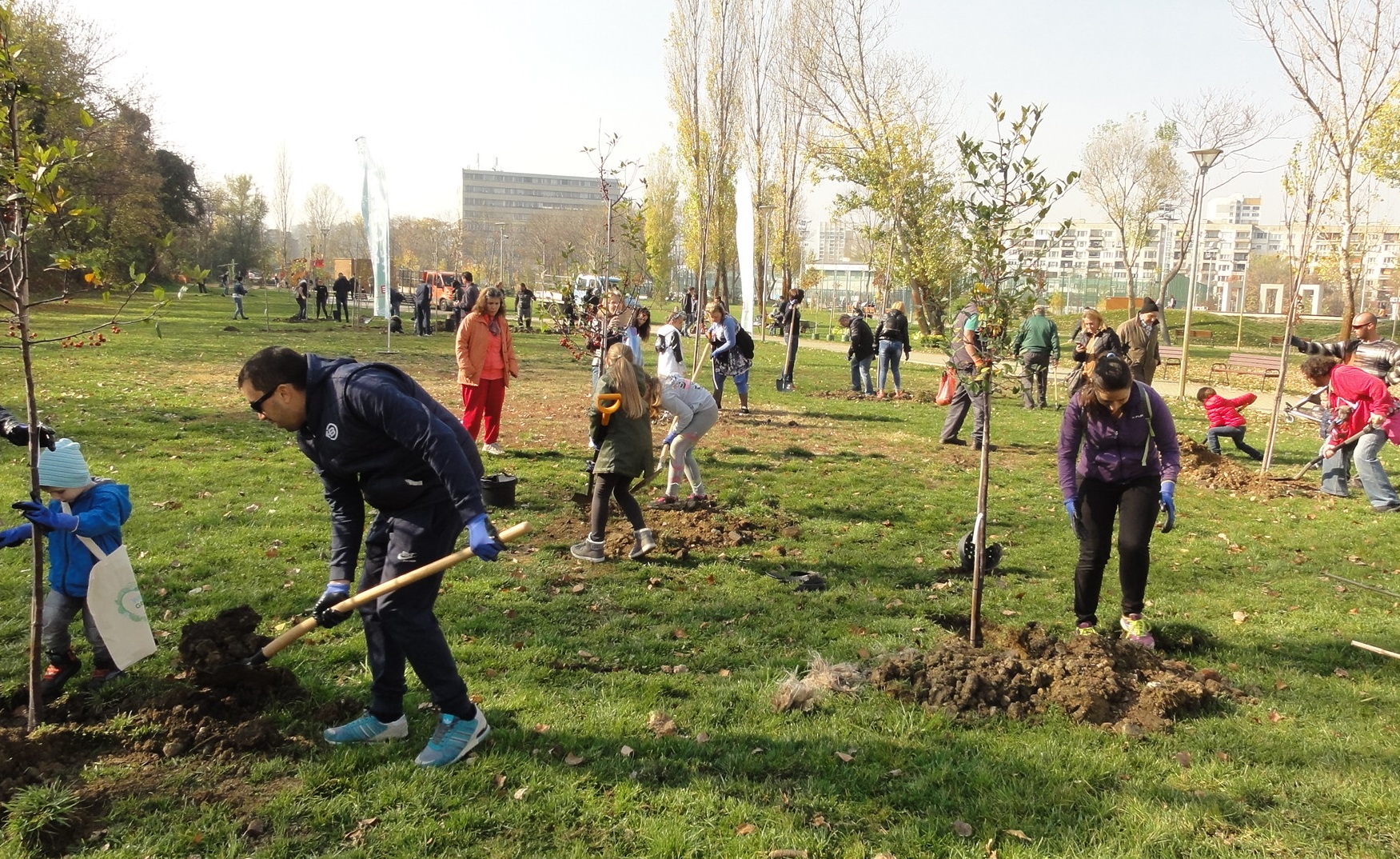 Добра новина – спасиха 10 500 дървета от изсичане