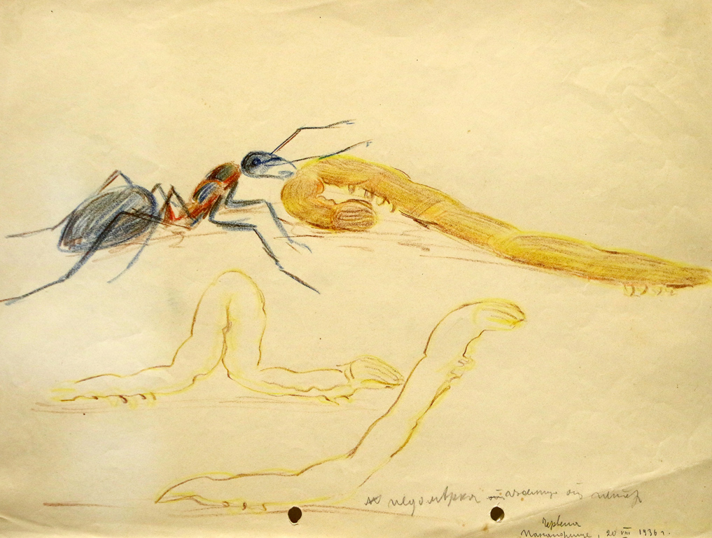 <p>Един личен разказ, който авторът ни е оставил, разказ не само за мравките, но и за хората&hellip;</p>