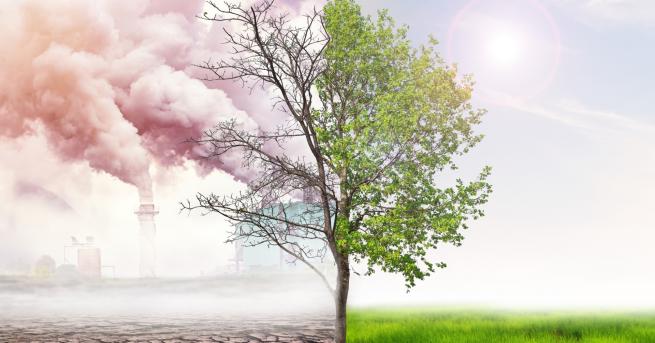 Свят Климатичният апокалипсис вече се случва Вижте къде климатичната криза