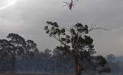  Пожарите в Австралия: прекомерно късно за евакуация 
