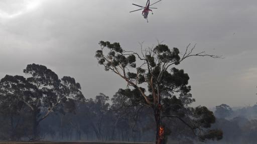  <p>Пожарите в Австралия: прекомерно късно за евакуация</p> 