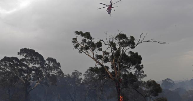 Свят Пожарите в Австралия твърде късно за евакуация В някои