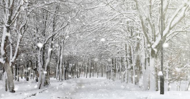 България Предупреждения за опасно време в Западна България Идват студ