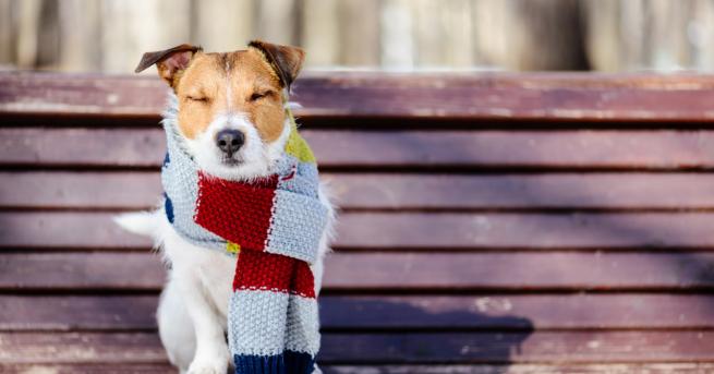 България Затопляне днес какво ще е времето през уикенда Максималните