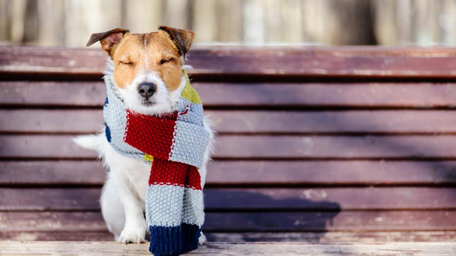  Затопляне през днешния ден, какво ще е времето през уикенда 