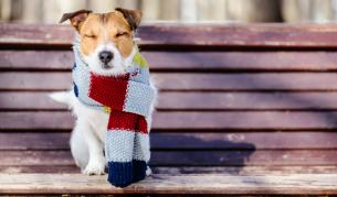 Слънчево ще е в четвъртък, но идват ледени дни