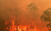  Пожарите в Австралия се завръщат, изтеглиха елементи от столицата 