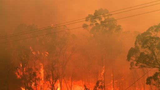  Екологичен фундаментализъм зад огнения пъкъл в Австралия 