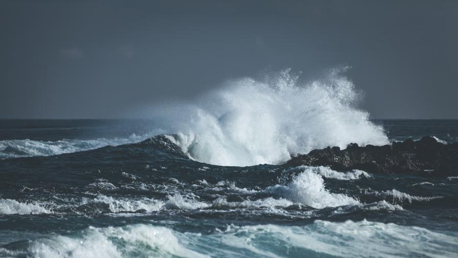 Климатична катастрофа: Температурата на океаните е рекордно висока