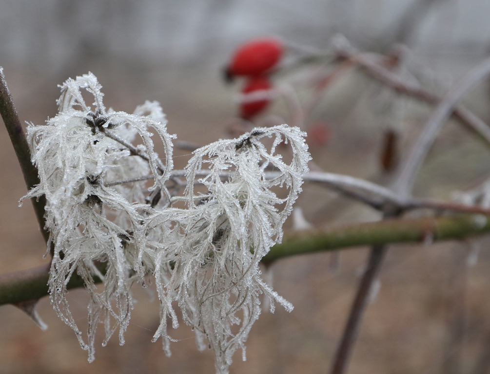 Мъгла и опасен въздух в София и днес