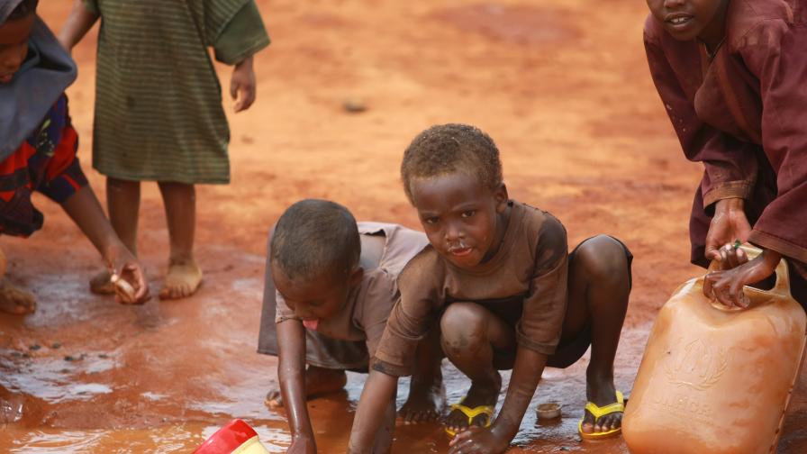  45 млн. души в Южна Африка умират от апетит 