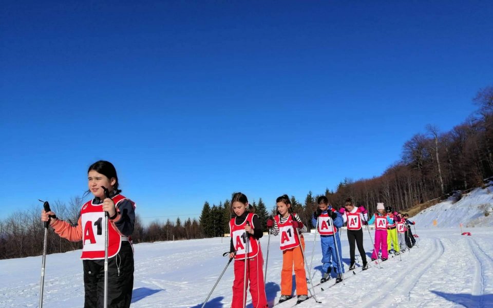 Най-социално насоченият проект на Българската федерация по ски, Министерството на