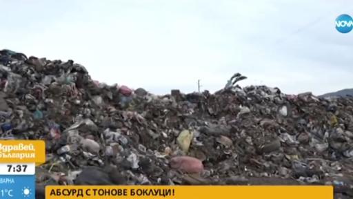  Тонове отпадъци в Ямбол и в Ихтиман, кой е отговорен 