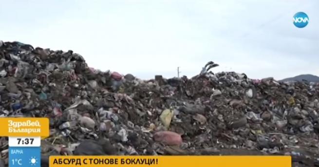 България Тонове боклуци в Ямбол и в Ихтиман кой е