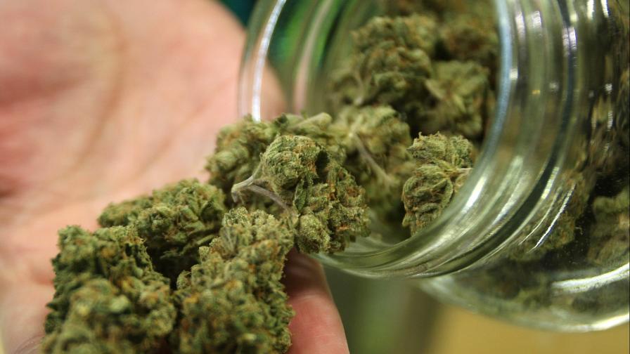  Марихуаната оказва помощ при болежка? Може и да се окаже единствено мит 