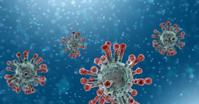 Свят Вирусът на ТОРС и епидемията от 2003 г за