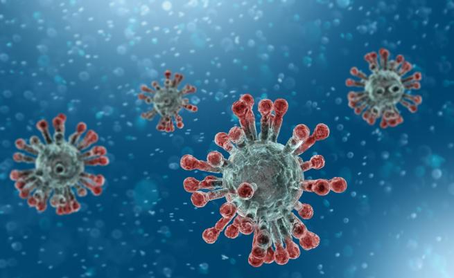 Вирусът на ТОРС и епидемията от 2003 г., за коронавирусите и Китай