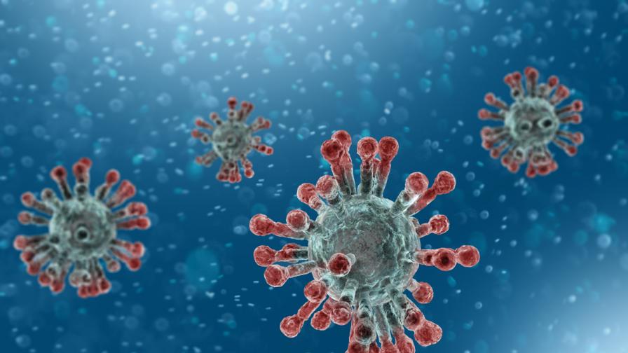 <p>Вирусът на <strong>ТОРС </strong>и епидемията от <strong>2003 г.</strong>, за коронавирусите и Китай</p>