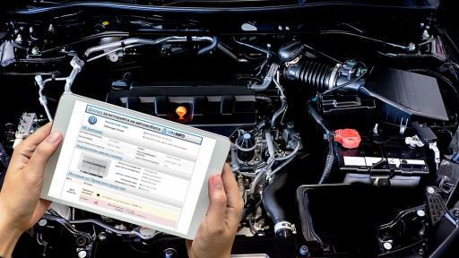  <p>Средната възраст на &bdquo;новия внос&ldquo; е 17 години</p> 