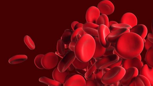  <p><strong>Можете</strong> <strong>ли</strong> да решите този <strong>тест</strong> за <strong>гимназисти</strong>?</p> 