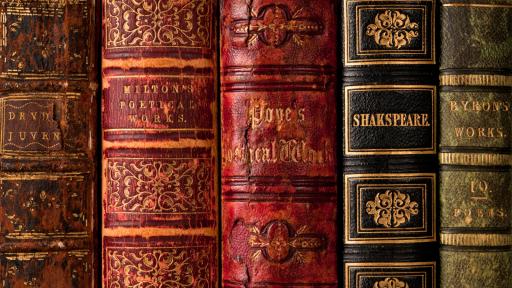  <p>Книгите, които&nbsp;<strong>освобождават въображението</strong> и емоциите</p> 