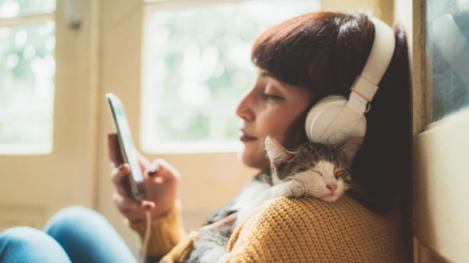 жена музика котка