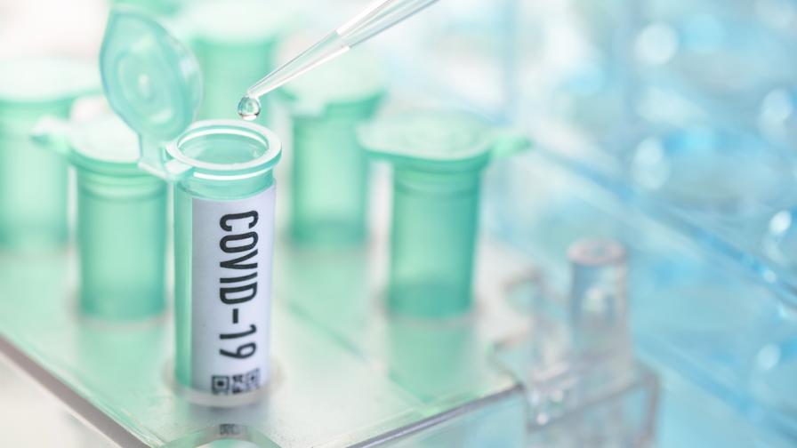 Защо ваксинирани боледуват от COVID-19 и как работи имунитетът