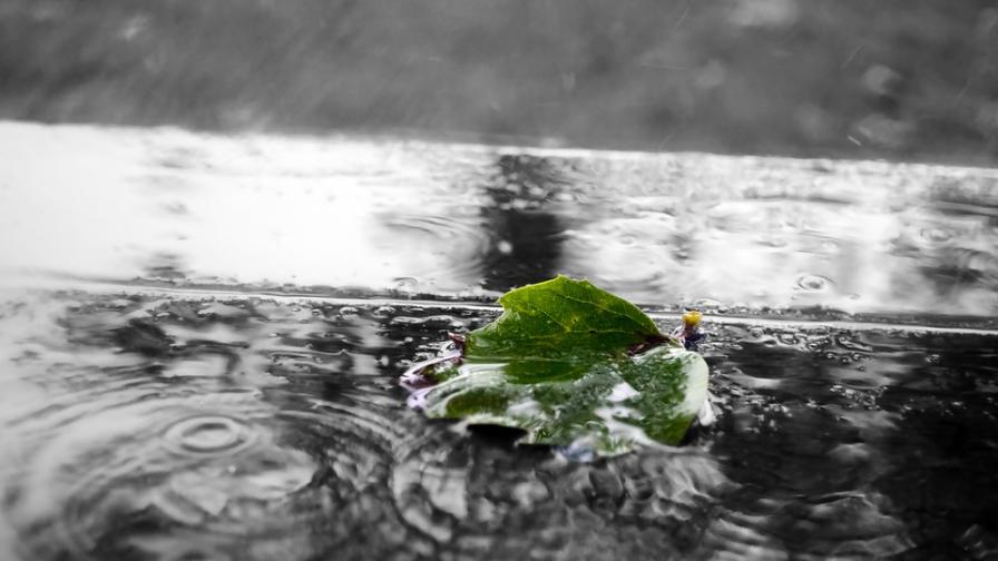  Дъжд, гръмотевици и вятър, май стартира с ниски температури 